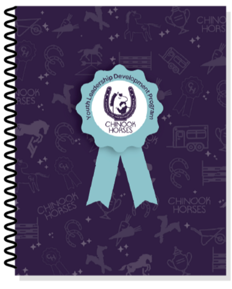 The Youth Leadership Development Program blue ribbon