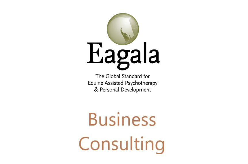 Eagala Business Consulting