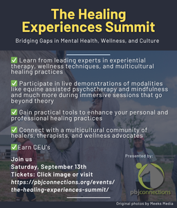 Promotional flyer for The Healing Experiences Summit with text and a blurred background.