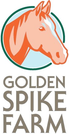 Seeking Employment - Eagala Equine Specialist