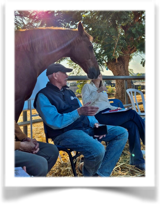 A man sitting outdoors with a horse beside him, presumably in a setting related to equine therapy or training.