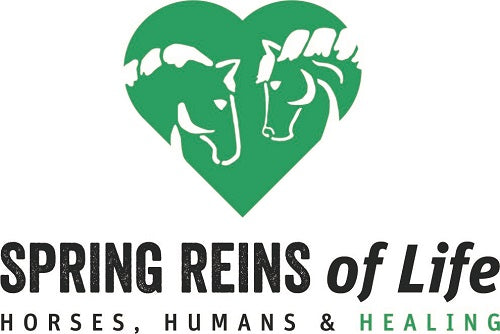 Seeking MHP Eagala in Virginia