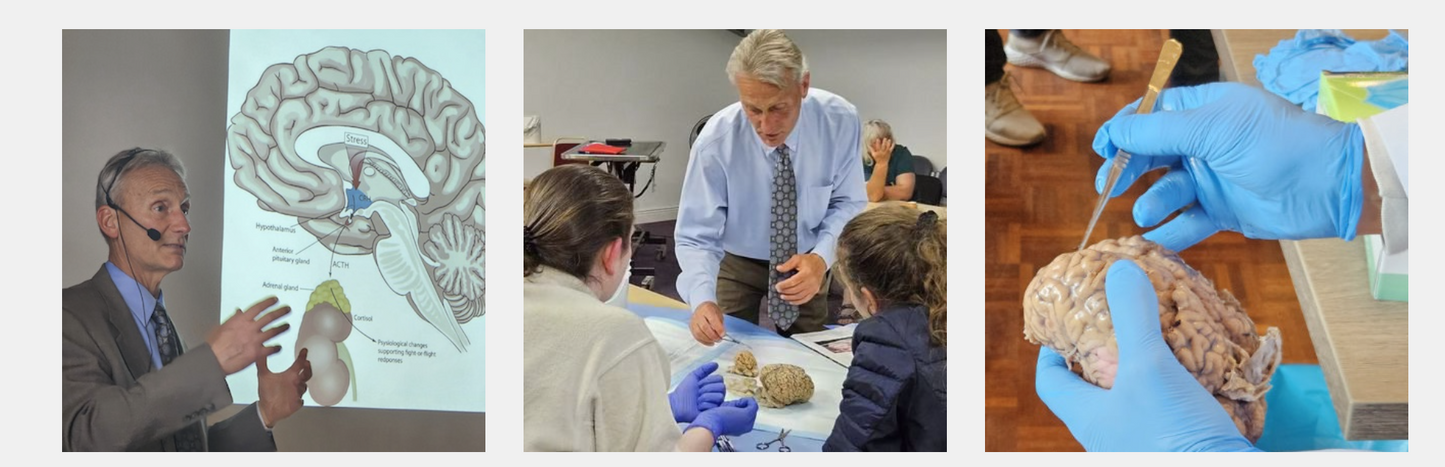 Horse Brain Science Clinics - Dr. Steve Peters