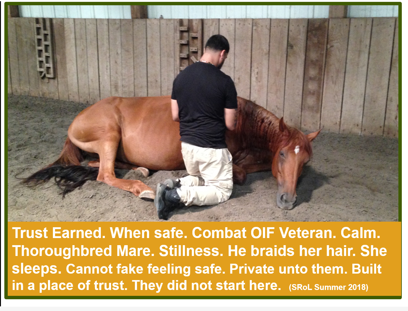 Seeking MHP Eagala in Virginia
