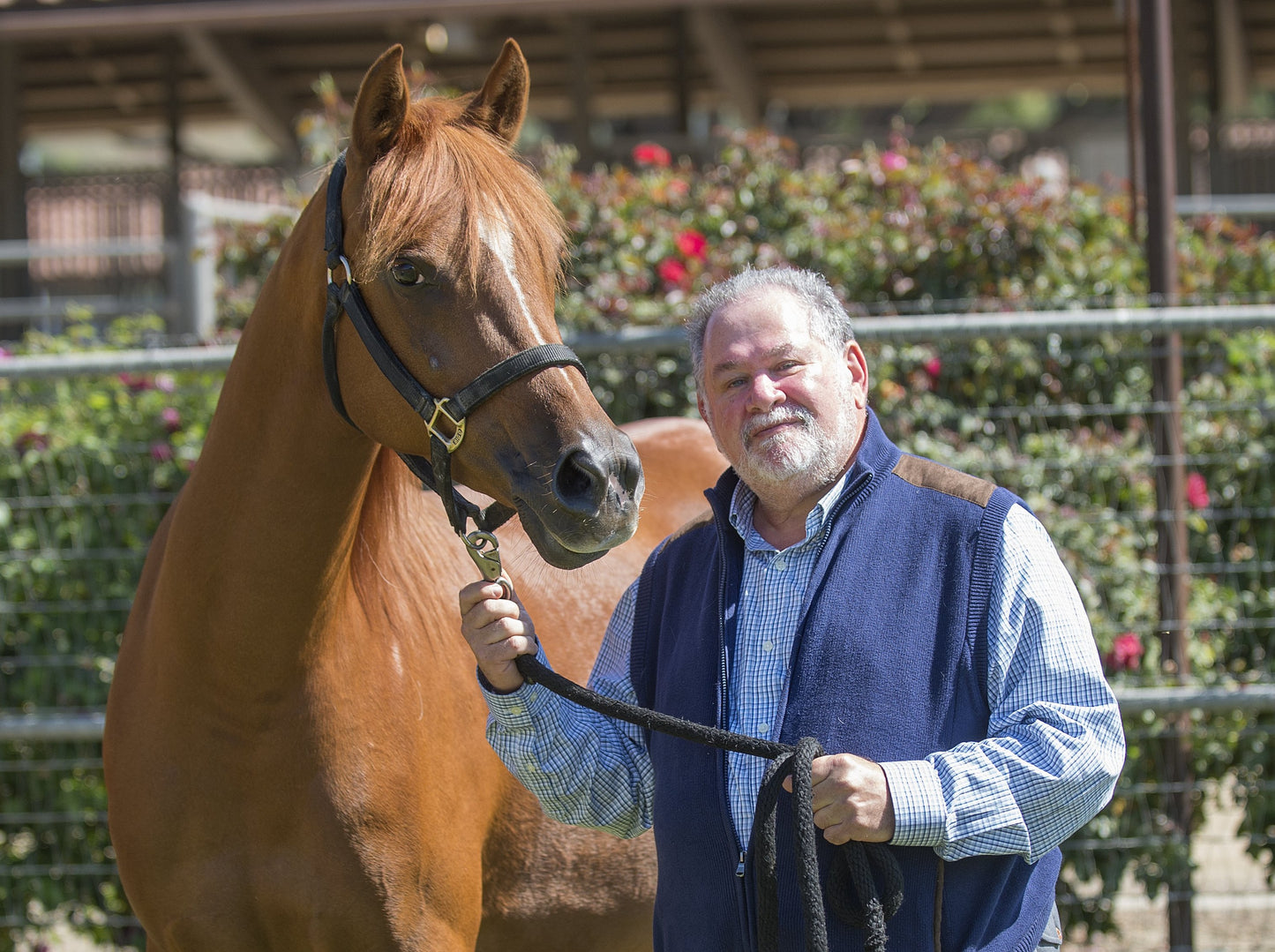 A mature man holding a brown horses reign