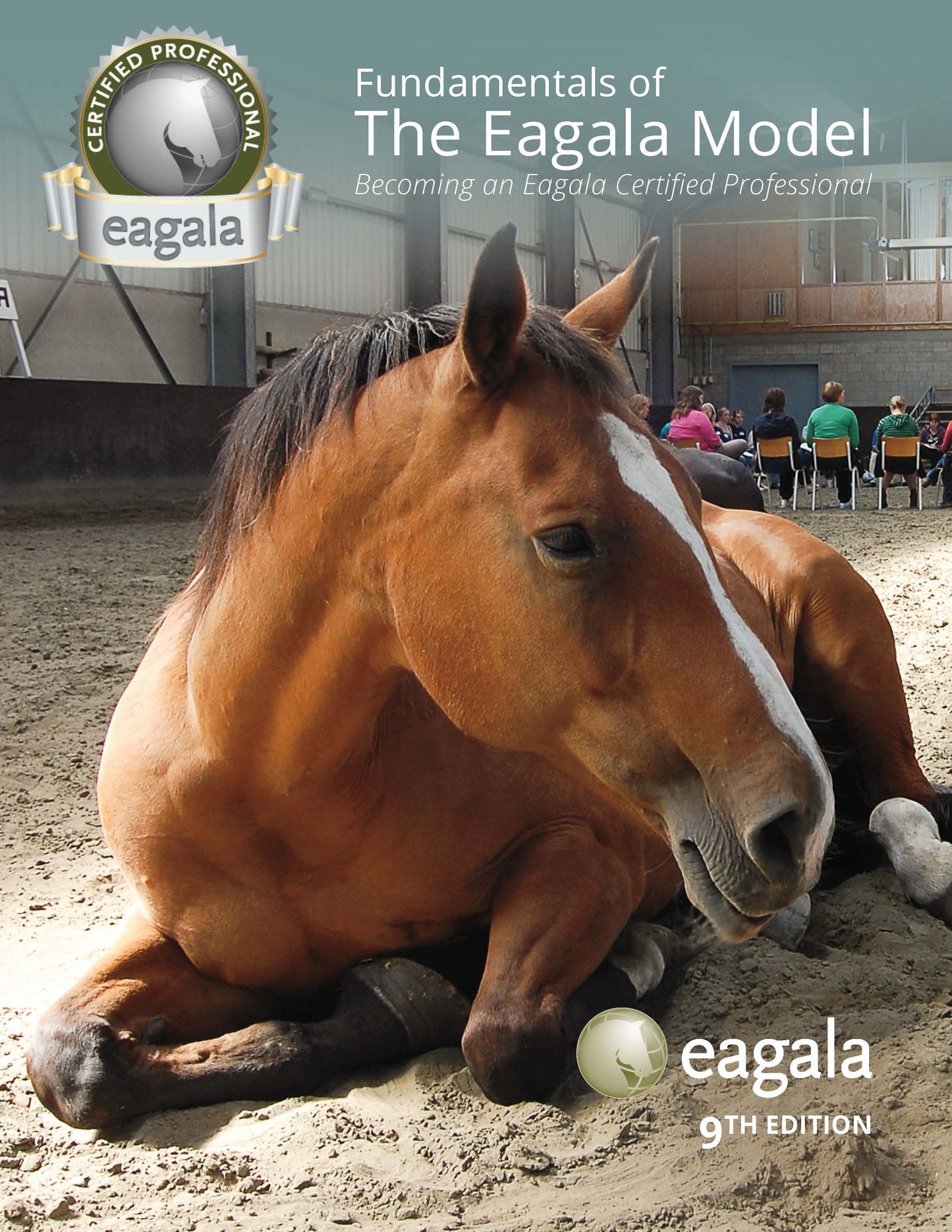 Cover of the Fundamentals of The Eagala Model 9th Edition