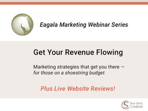 Get Your Revenue Flowing Again, Marketing Webinar