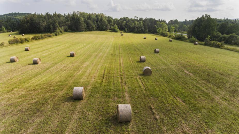 Land/Equipment