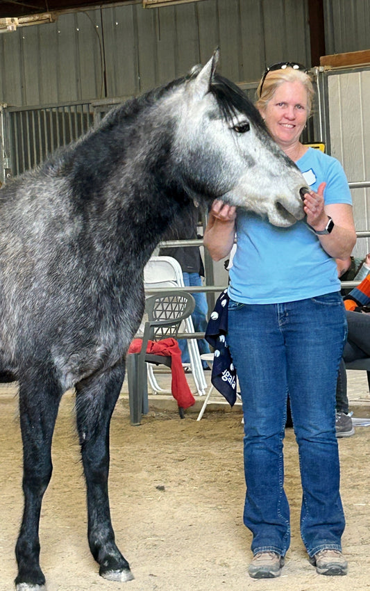 Seeking Employment - Eagala Equine Specialist