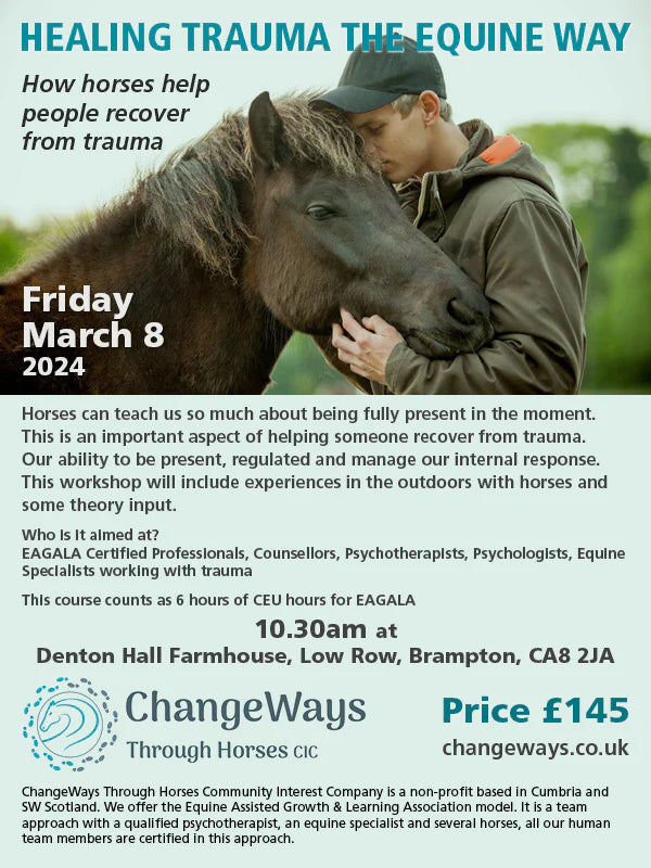 Workshop:  Healing Trauma the Equine Way - March 8, 2024  Cumbria, United Kingdom