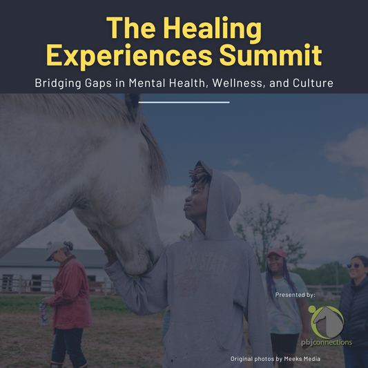 Promotional graphic for 'The Healing Experiences Summit' with a person interacting with a horse.