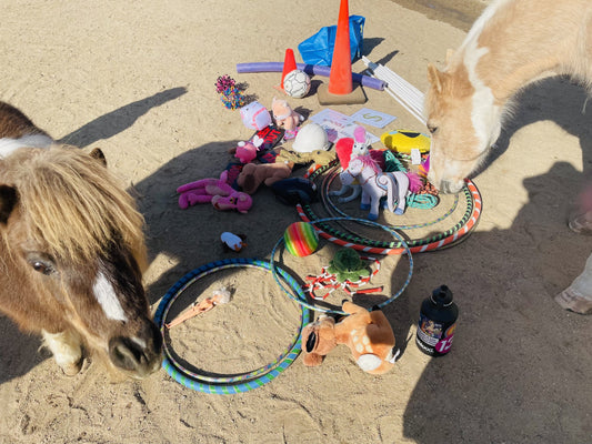 Seeking Business Partner