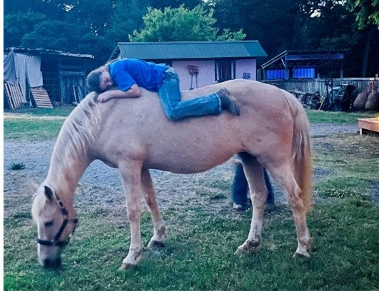 Beautiful Palomino Mare Seeking Her Forever Home.  Ideal for Equine-Assisted Therapy and/or a Kind-Hearted Novice Rider.