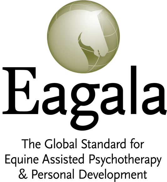 Fundamentals of the Eagala Model Training May 28th - June 1st, 2025, Kontich, BE