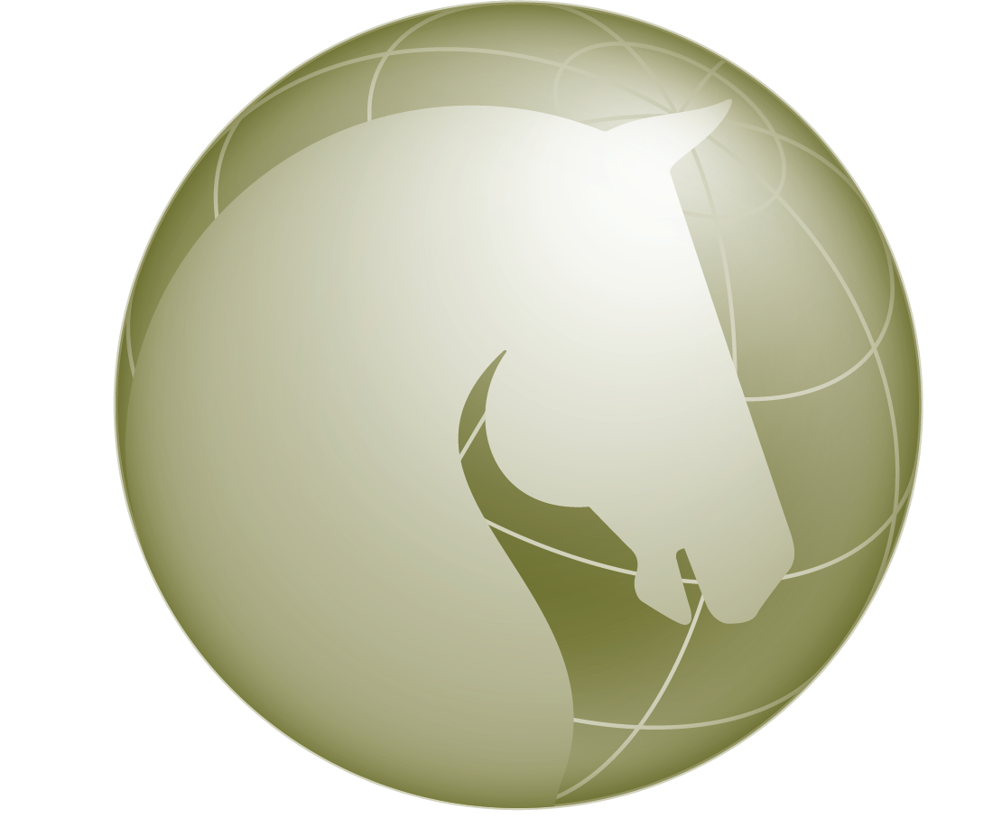 7/27/23 EAGALA Global Member Meeting: The role of an Other Specialized Professional on an Eagala Team