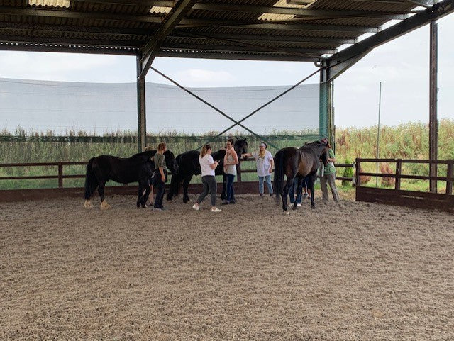 People interacting with horses in an indoor riding arena.