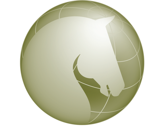 9/26/24 Eagala Global Member Meeting: Creating an Eagala Children's Program | Suzanne Adamthwaite