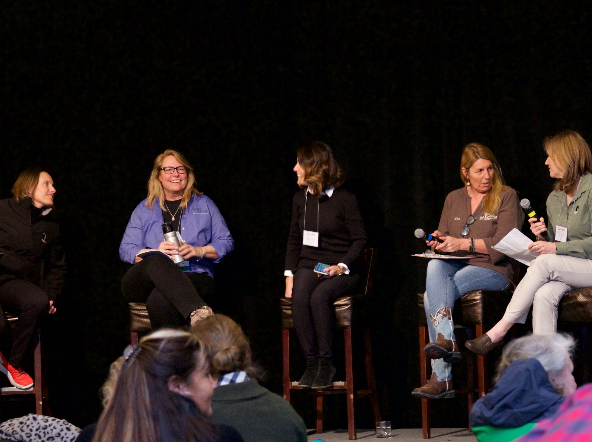 Eagala expert panel
