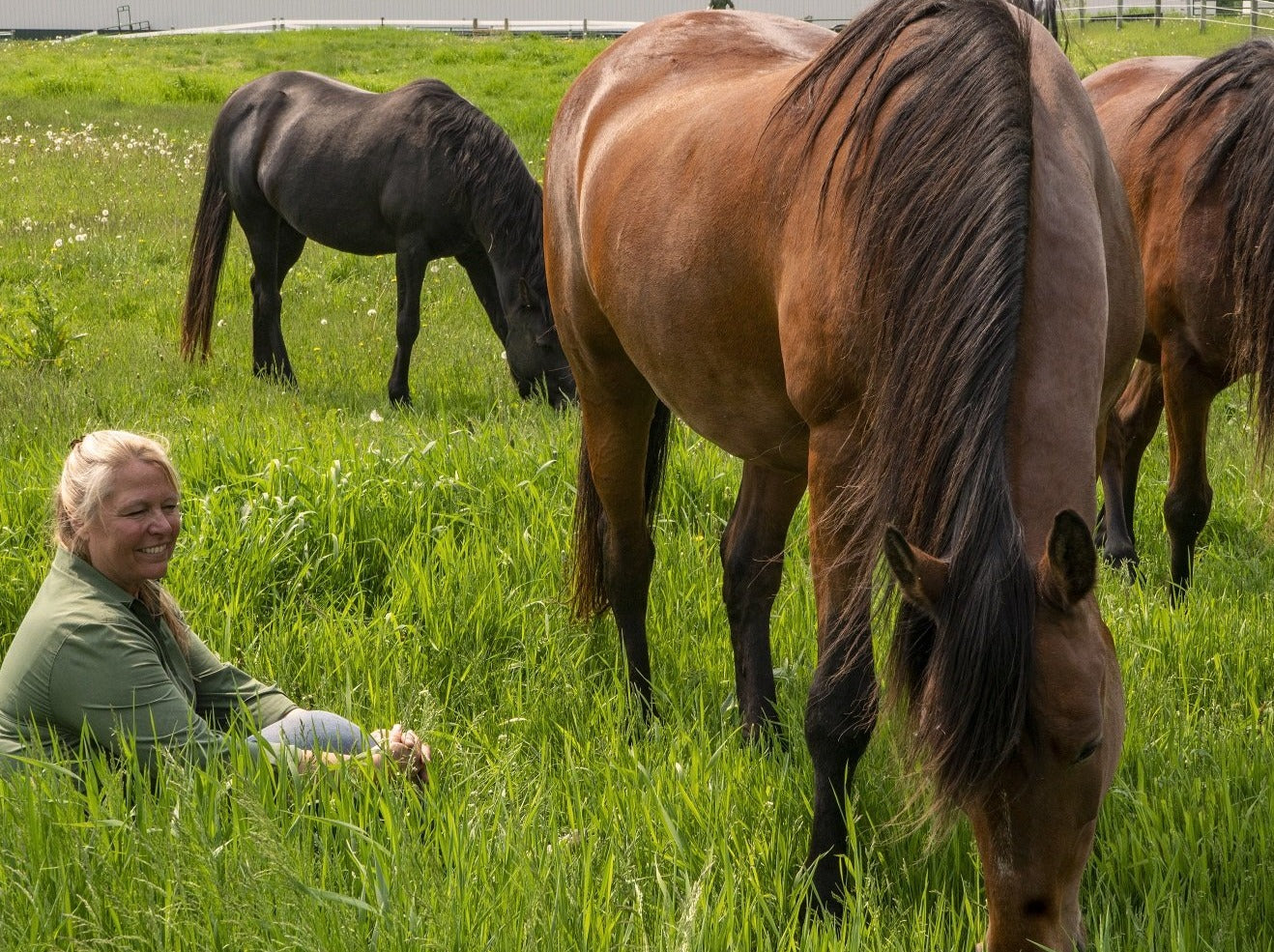 A woman sitting in tall grass among three horses grazing