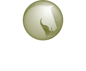 8/26/21 EAGALA Global Member Meeting:Eagala Program Horses & Incorporating Horses into a Business