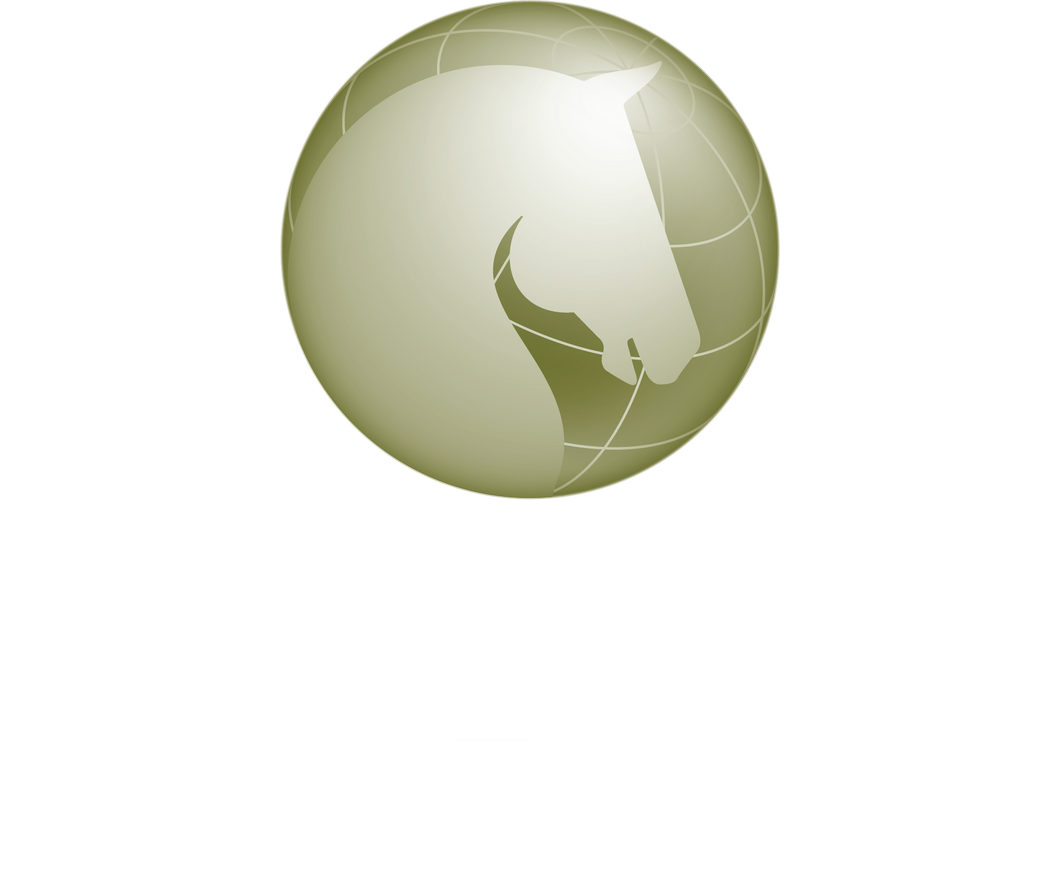 8/26/21 EAGALA Global Member Meeting:Eagala Program Horses & Incorporating Horses into a Business