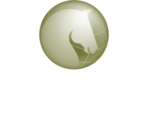 9/8/22 EAGALA Global Member Meeting: Eagala Ireland Net. group's present. at Dublin Int'l Horse show