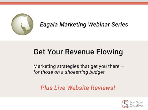 Get Your Revenue Flowing Again, Marketing Webinar