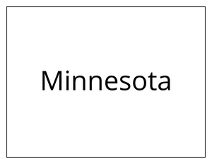 October 25, 2020 Minnesota Eagala Networking Meeting