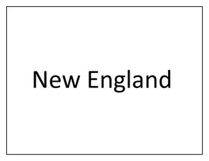 November 1, 2020 New England Eagala Networking + Demonstration-CANCELLED